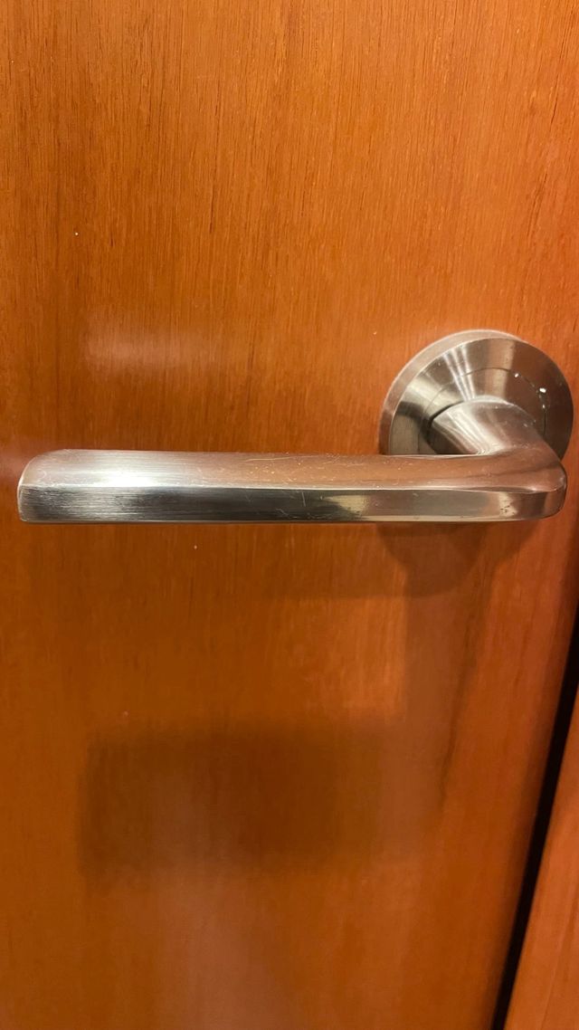 Pomos de puerta plateados