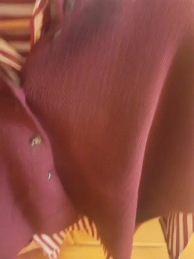 Conjunto Zara Chaleco y Camisa Rayas Talla Única