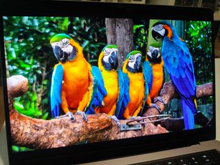 MacBook Pro M1 Pro 16gb RAM 512GB Gris