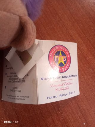 Peluche X Raider vollez8onisti hard rock caffe