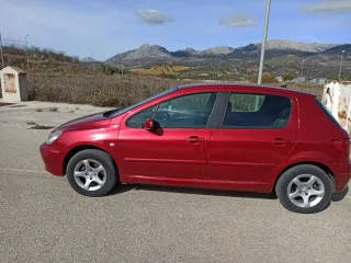Peugeot 307 2005