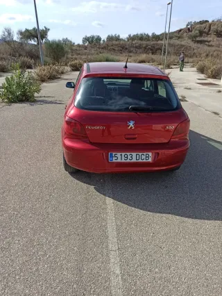 Peugeot 307 2005