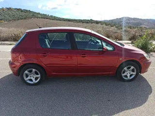 Peugeot 307 2005