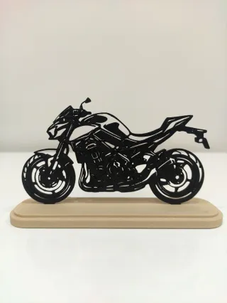 Sagoma Kawasaki Z 900 (2020-2024)