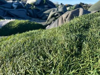 Césped artificial verde y olivo