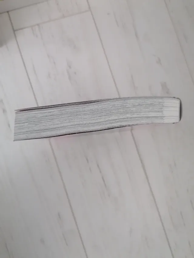 Bleach tomo 11 Maximum bleach