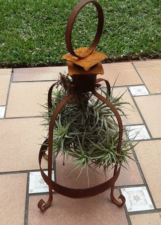 JAULA ÓXIDO CON TILLANDSIA
