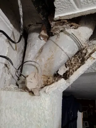 Cambio bañera por plato de ducha