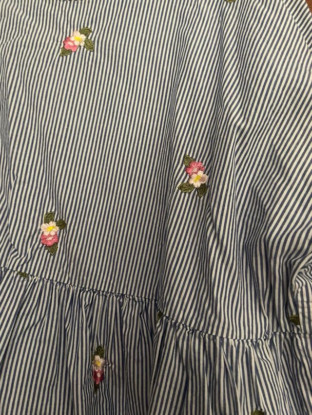 Blusa Zara Rayas Flores Bordadas