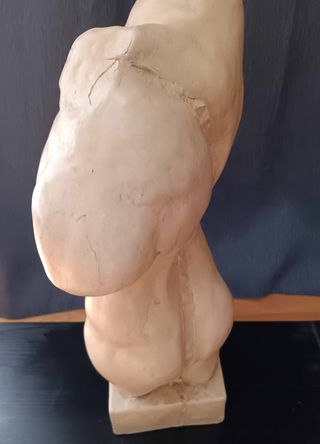 Figura Torso Masculino Decorativa