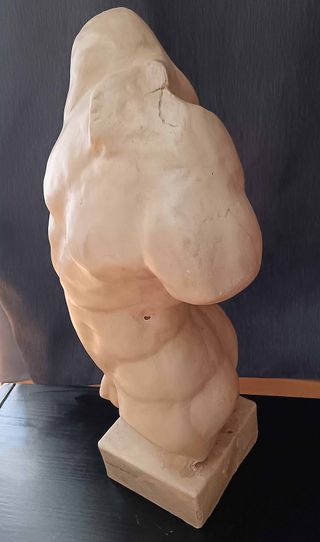 Figura Torso Masculino Decorativa