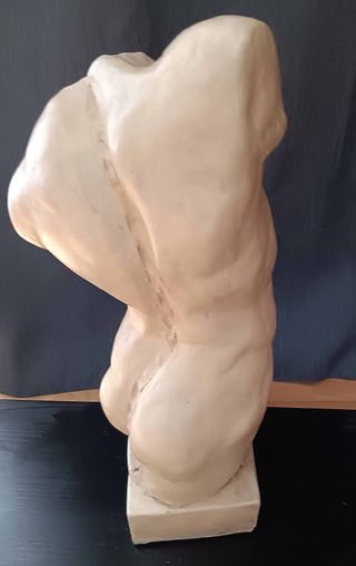 Figura Torso Masculino Decorativa