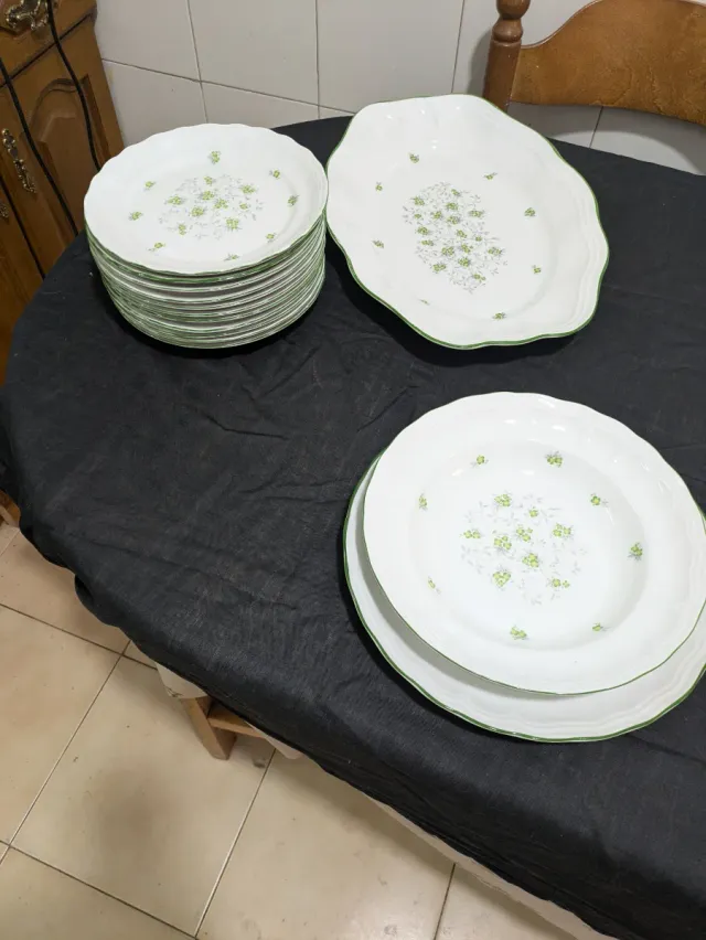 Vajilla Bidasoa Porcelana Flores Verdes