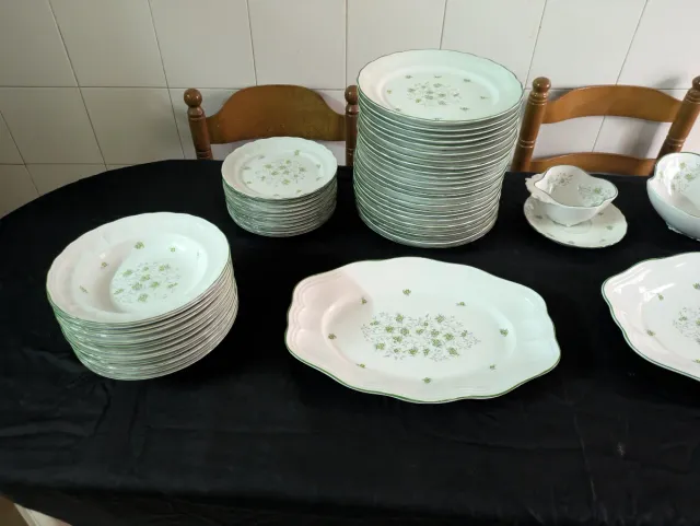 Vajilla Bidasoa Porcelana Flores Verdes