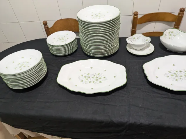 Vajilla Bidasoa Porcelana Flores Verdes