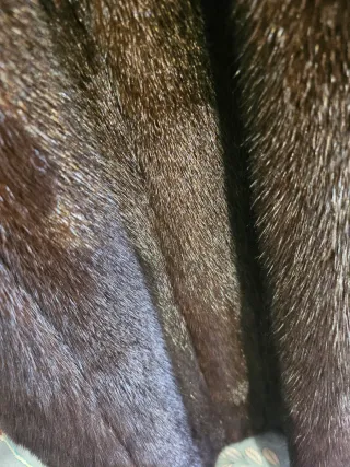 Abrigo negro y marrón