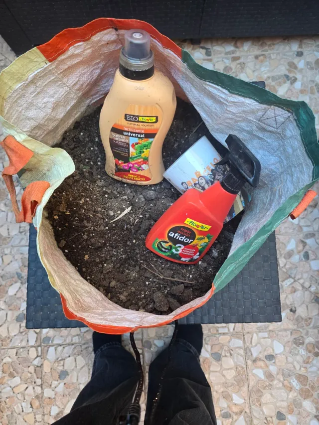 Jardín de cactus y 1 loto Tierra y abono y insecti