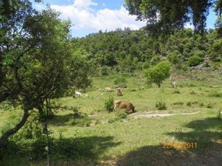 Terreno en venta en Berga