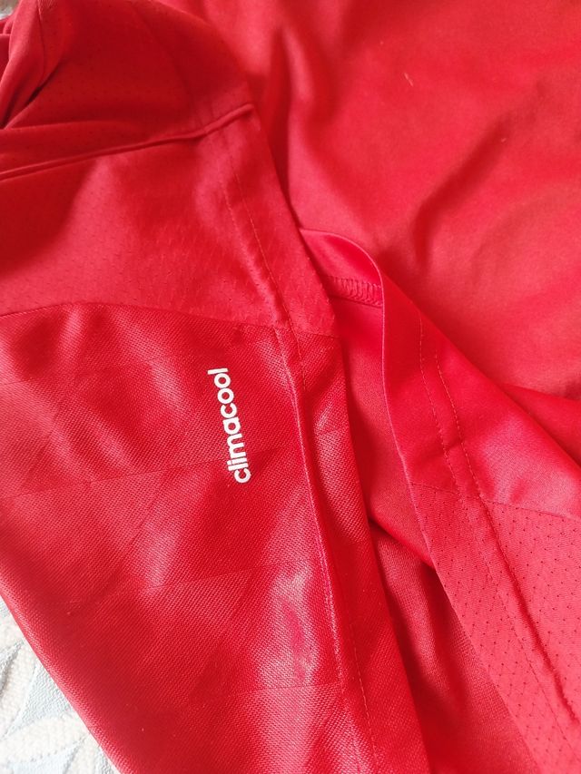 Camiseta Adidas Bayern Múnich Talla M