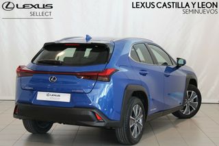 Lexus UX Business