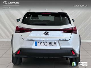 Lexus UX  2.0 250h Premium 2WD