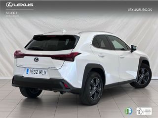 Lexus UX  2.0 250h Premium 2WD