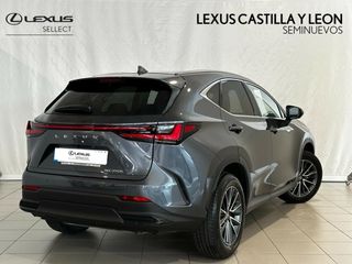 Lexus NX 350h Premium 2WD