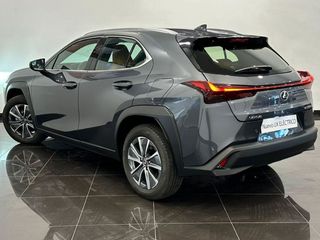 Lexus UX 300E  +