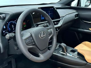 Lexus UX 300E  +