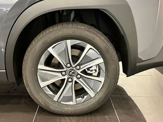Lexus UX 300E  +