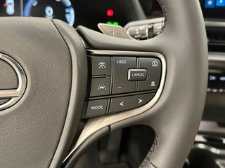 Lexus UX 300E  +