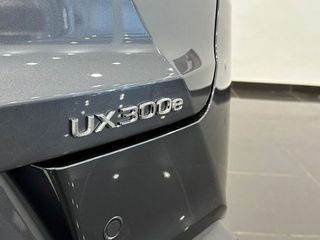Lexus UX 300E  +