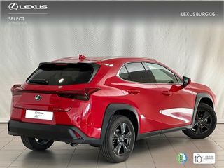 Lexus UX  250h 2WD PREMIUM