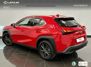 Lexus UX  250h 2WD PREMIUM