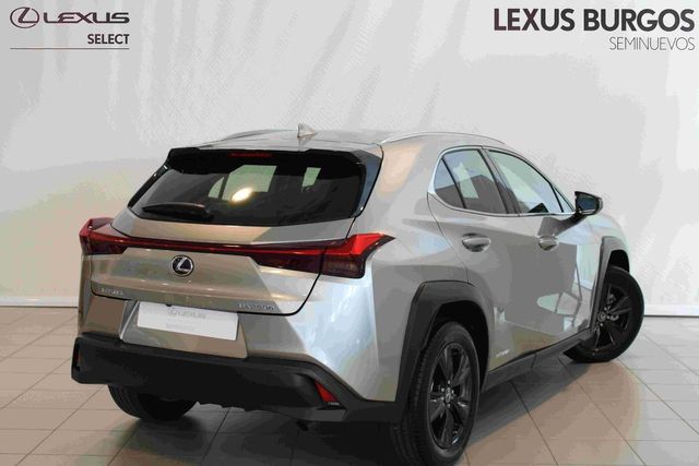 Lexus UX Business Navigation 2WD
