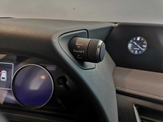 Lexus UX Business Navigation 2WD