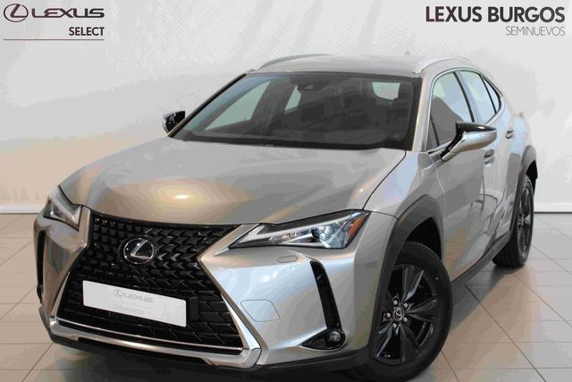 Lexus UX Business Navigation 2WD