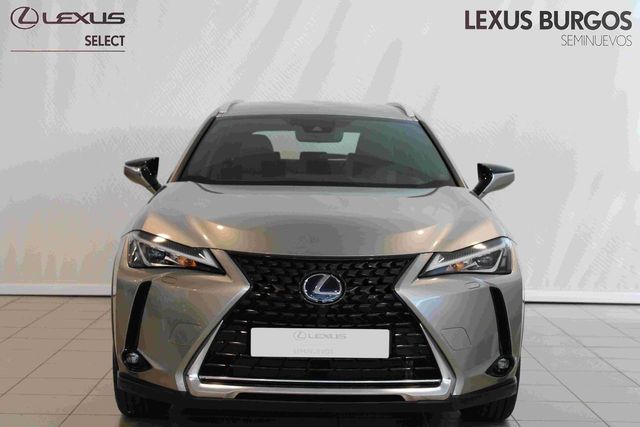 Lexus UX Business Navigation 2WD