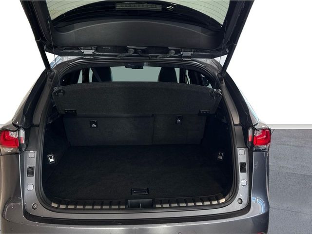 Lexus NX F-SPORT 4WD