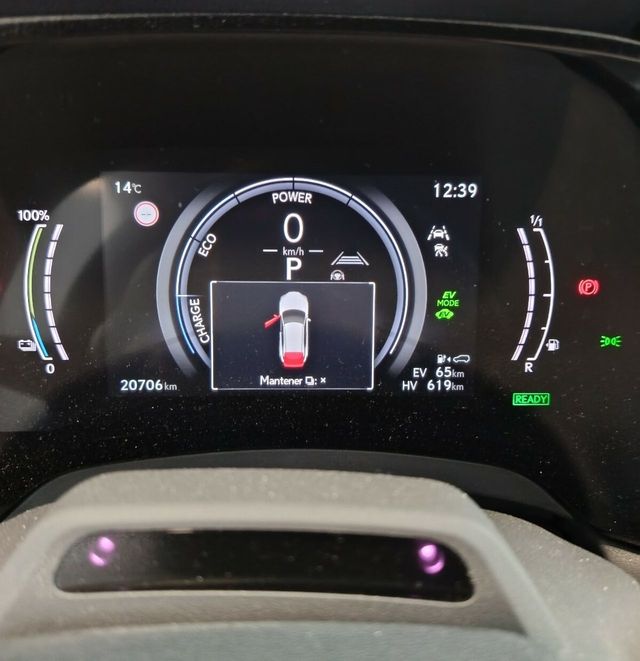 Lexus RX 450H+ EXECUTIVE