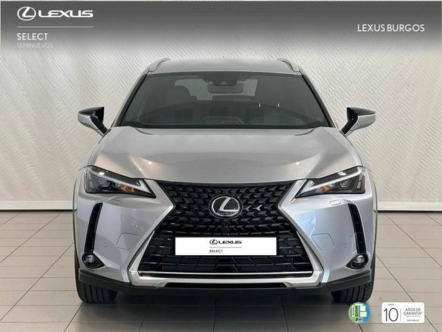 Lexus UX  250h 2WD PREMIUM