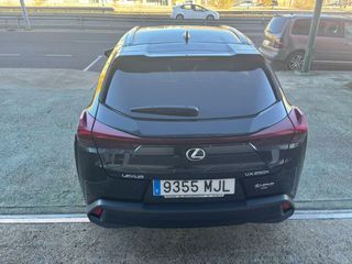 Lexus UX  250h 2WD PREMIUM