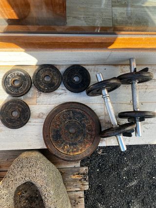 Pesas y mancuernas de gimnasio