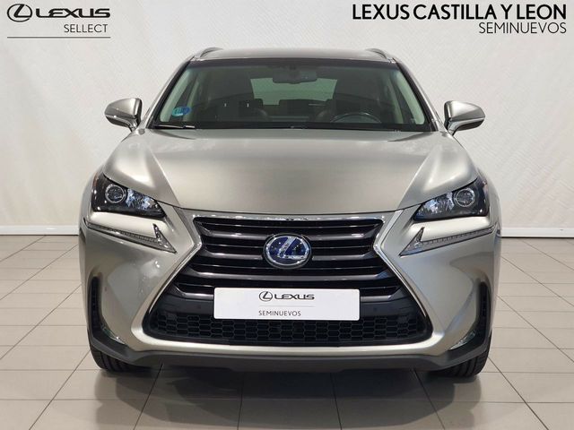 Lexus NX 300H EXECUTIVE 4WD