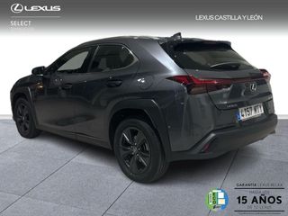 Lexus UX 300H + 2WD