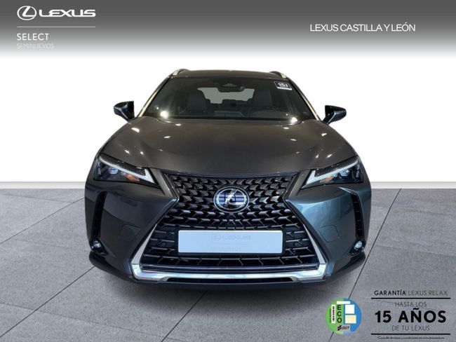 Lexus UX 300h UX 2WD (2024) 2024, foto 2