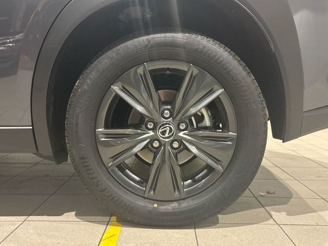 Lexus UX 300h UX 2WD (2024) 2024, foto 13