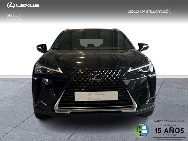 Lexus UX 250H BUSSINES 2WD