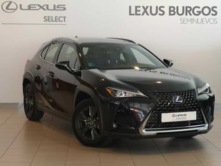 Lexus UX 250H BUSSINES 2WD