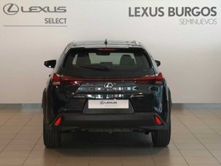 Lexus UX 250H BUSSINES 2WD